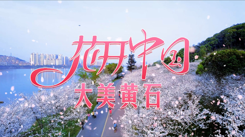 湖北师范大学音乐舞蹈学院丨以青...